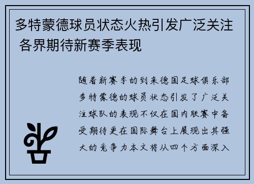 多特蒙德球员状态火热引发广泛关注 各界期待新赛季表现