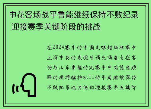 申花客场战平鲁能继续保持不败纪录 迎接赛季关键阶段的挑战