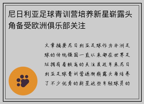 尼日利亚足球青训营培养新星崭露头角备受欧洲俱乐部关注