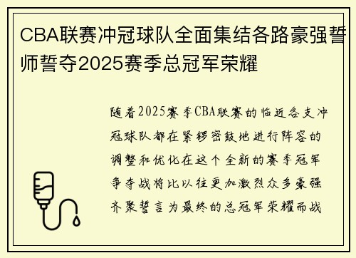 CBA联赛冲冠球队全面集结各路豪强誓师誓夺2025赛季总冠军荣耀