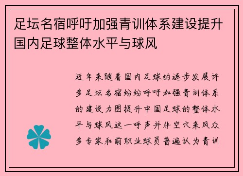 足坛名宿呼吁加强青训体系建设提升国内足球整体水平与球风